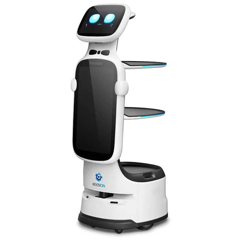 KEENON DINERBOT T11